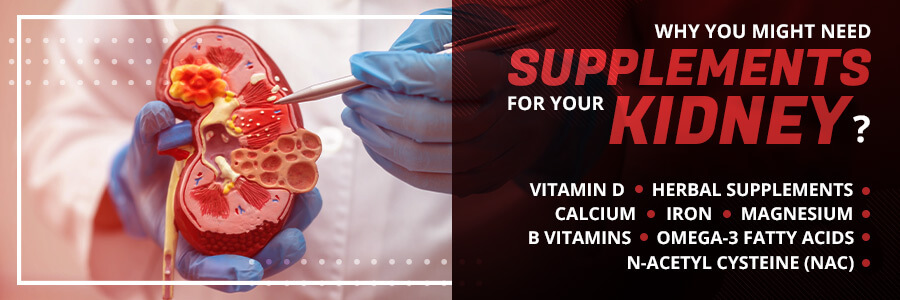 Why You Might Need Supplements for Your Kidneys