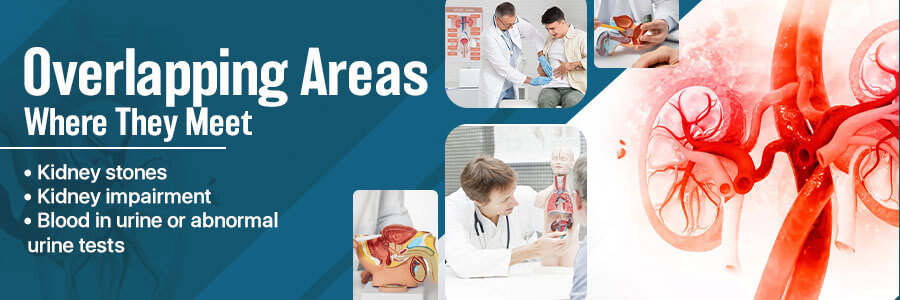 Overlapping Areas: Where They Meet